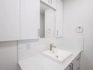 northroyal-renovation-interior-storage-finishing-bathroom-plastering